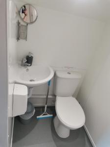 a white bathroom with a toilet and a sink at Greencraig Pods in Buckie