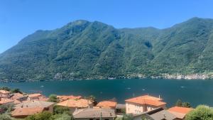 内索Reginaldo's home的以群山为背景的湖景