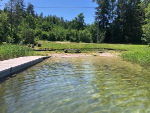 a body of water with a dock in a field at Neverland in Zelwa