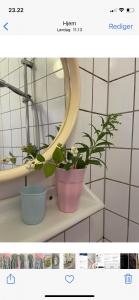 een badkamer met een spiegel en een plant op een plank bij Sundbyvestervarehus in Kopenhagen