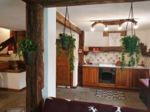 a kitchen with wooden cabinets and potted plants at La Casetta di Lele e Schina in Arvier