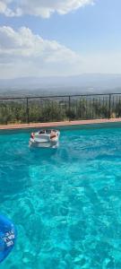 A piscina localizada em Agrifarm la Corte ou nos arredores