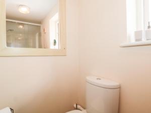 a bathroom with a white toilet and a mirror at Ryecross Farm Cottage in Melbury Abbas +12 photos