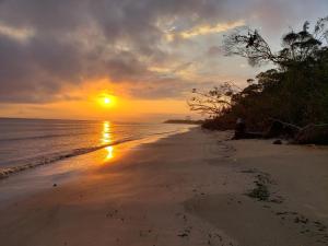 a person sitting on a beach at sunset at Ilha das Peças Lagamar in Guaraquiçaba