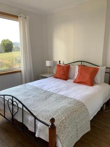 a bedroom with a bed with orange pillows and a window at Sassafras Springs in Ellendale