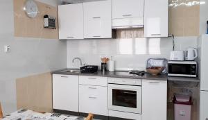 Dapur atau dapur kecil di Dubrovnik Apartment Lasic