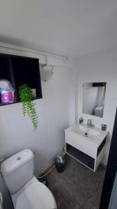uma casa de banho com um WC branco e um lavatório. em la tête dans les nuages em Basse-Terre