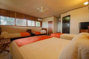 1 dormitorio con 3 camas y ventilador de techo en Drake Paradise Point, en Drake