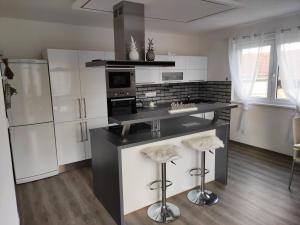 Kuchyňa alebo kuchynka v ubytovaní Apartmán u Fryšávky