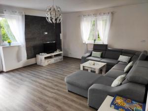 Televízia a/alebo spoločenská miestnosť v ubytovaní Apartmán u Fryšávky