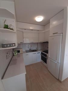 Kuchyňa alebo kuchynka v ubytovaní Apartman u centru Makarske