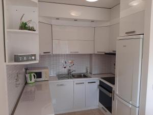 Kuchyňa alebo kuchynka v ubytovaní Apartman u centru Makarske
