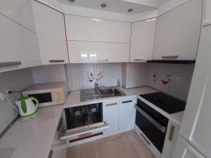 Kuchyňa alebo kuchynka v ubytovaní Apartman u centru Makarske