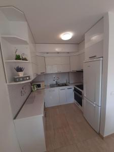 Kuchyňa alebo kuchynka v ubytovaní Apartman u centru Makarske