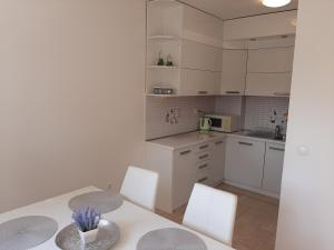Kuchyňa alebo kuchynka v ubytovaní Apartman u centru Makarske