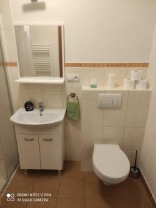 
Koupelna v ubytování Penzion Dolní Dunajovice
