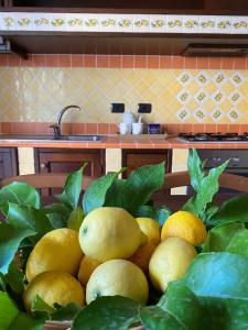 een berg citroenen op een tafel in de keuken bij Appartamento F&M in Castelnuovo Magra