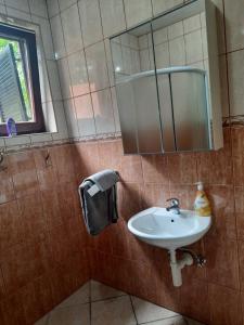 un bagno con lavandino e specchio di Kuća za odmor Cordon a Vojnić Altre 7 foto