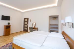 - une chambre blanche avec un lit et une télévision dans l'établissement Luxusní velký apartmán s terasou v centru Litomyšle, à Litomyšl