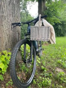 Afbeelding uit fotogalerij van Hotel Dwór Fijewo in Golub-Dobrzyń