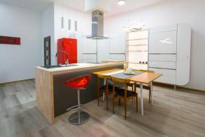 Kuchyňa alebo kuchynka v ubytovaní Luxusní velký apartmán s terasou v centru Litomyšle