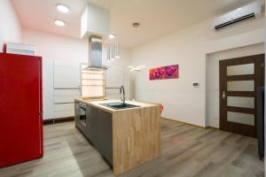 Kuchyňa alebo kuchynka v ubytovaní Luxusní velký apartmán s terasou v centru Litomyšle