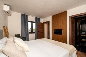 Telewizja i/lub zestaw kina domowego w obiekcie Boutique house Istria with pool and fireplace