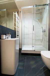 ein Bad mit einer Dusche, einem Waschbecken und einem WC in der Unterkunft Apartamenty u Sarzyńskich in Kazimierz Dolny