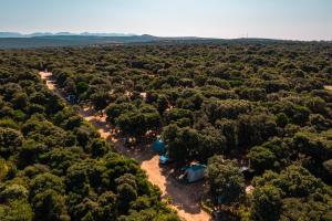 an aerial view of a forest with tents and trees at Camping Sugar in Mandre