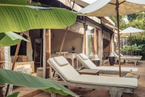 Khwan Beach Resort - Luxury Glamping and Pool Villas Samui - Adults Only - SHA Extra Plus في شاطئ مينام: مجموعة من كراسي الصالة والمظلات على الفناء