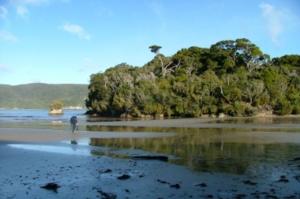 a person walking on a beach with trees and water at South Sea Hotel - Stewart Island in Half-moon Bay