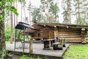 Cabaña de madera con mesa de picnic y sombrilla en Forest hut Stariy Prud, en Filippovichi