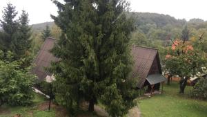 Príroda v okolí apartmánového hotela