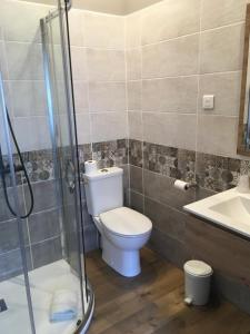 a bathroom with a toilet and a shower and a sink at Le Florence in Saint-Quentin