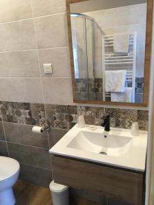 聖康坦的住宿－弗洛倫斯酒店，一间带水槽、卫生间和镜子的浴室