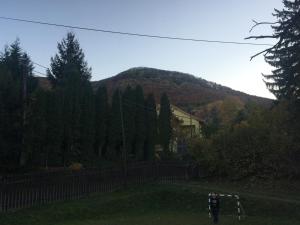 Príroda v okolí apartmánového hotela