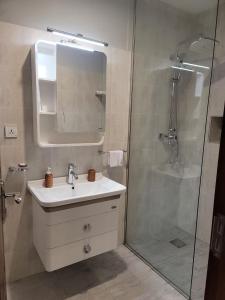 uma casa de banho com um lavatório e um chuveiro com um espelho. em Goha Addis Hotel em Addis Ababa