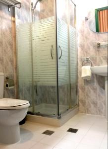 a bathroom with a shower and a toilet and a sink at Regency Hotel Hebron in Hebron