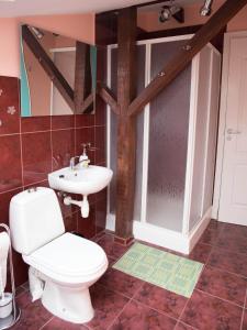 a bathroom with a toilet and a sink at Amber in Liepāja +28 photos