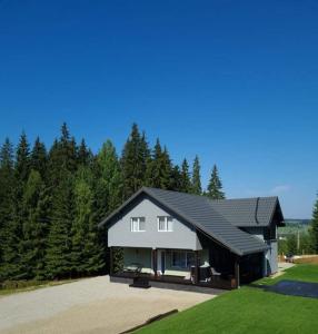 een groot wit huis met een zwart dak bij Cabana Brazilor in Vatra Dornei