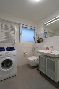 un bagno con lavatrice e lavandino di Adel FeWo am Herzzentrum a Bad Krozingen Altre 28 foto