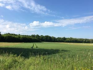 French Fields Luxury Glamping Original Mongolian Yurt