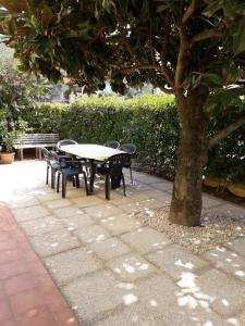 ein Tisch und Stühle unter einem Baum neben einem Baum in der Unterkunft Appartamento VACANZE DI PUCCI LIDIA in Assisi