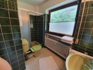 a bathroom with a toilet and a window and a sink at Schöne Ferienwohnung in Lautenthal im Harz in Lautenthal