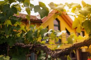 Zahrada ubytování Ferienwohnung Schreierhof Bio Bauernhof