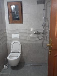 ein Bad mit einem WC und einer Dusche in der Unterkunft Natural Paradise in Bosanska Krupa