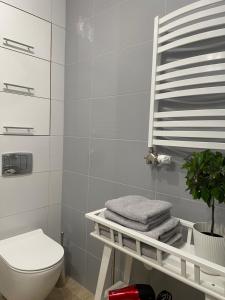 La salle de bains est pourvue de toilettes et d'une étagère avec des serviettes. dans l'établissement Apartament HAMBURG, à Białystok