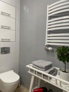 Kúpeľňa v ubytovaní Apartament HAMBURG