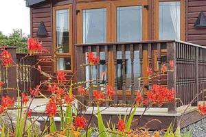a cabin with a wooden deck with red flowers at Rymmon Retreat in Orkney