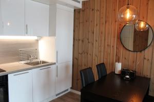 Kuchyň nebo kuchyňský kout v ubytování Skagahøgdi Apartment 19